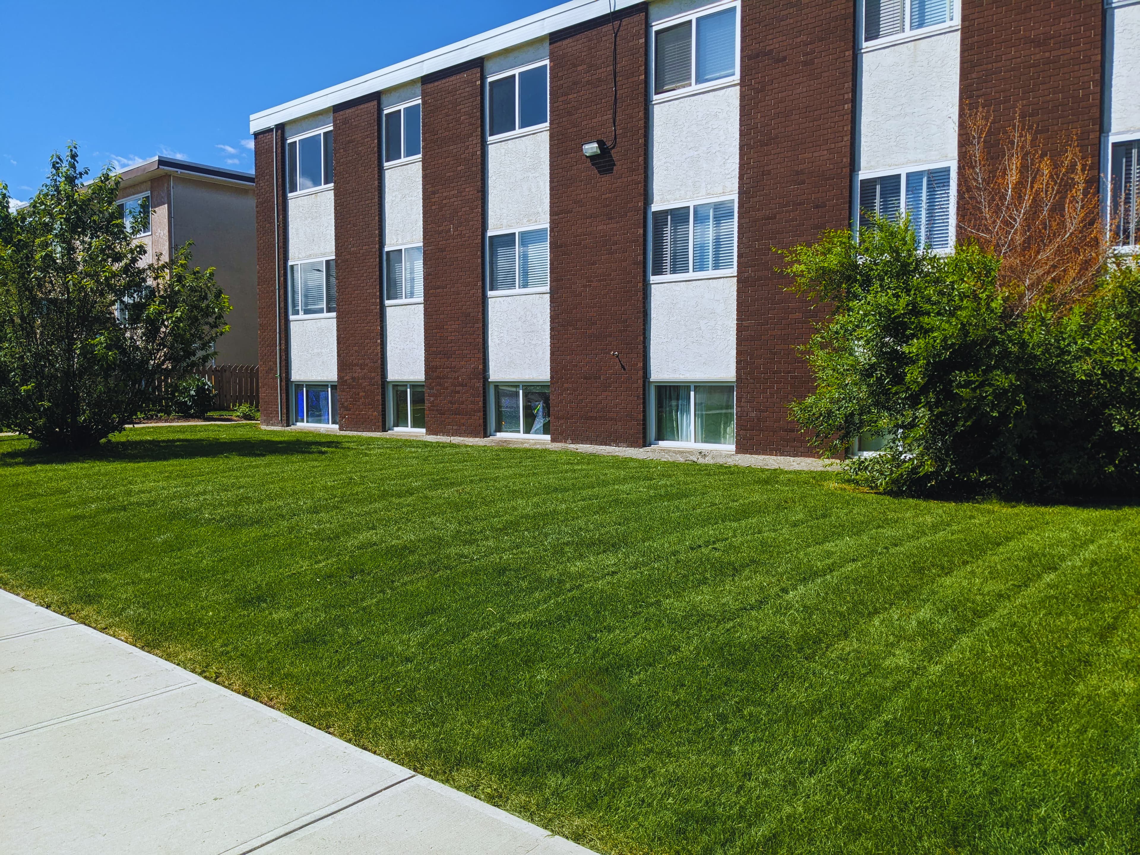 Reliable Lawn Care Services in Edmonton