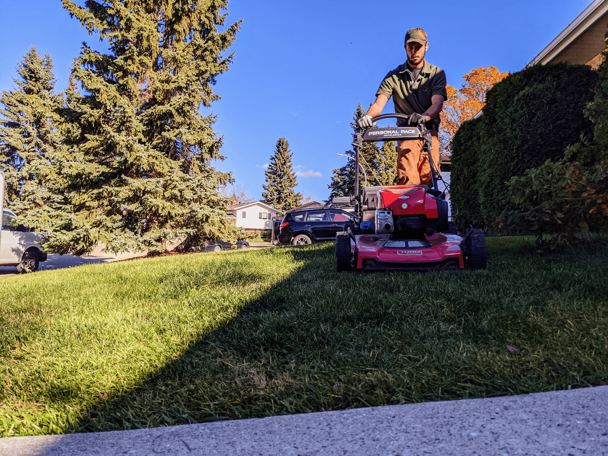 Professional Lawn Care Services in Edmonton
